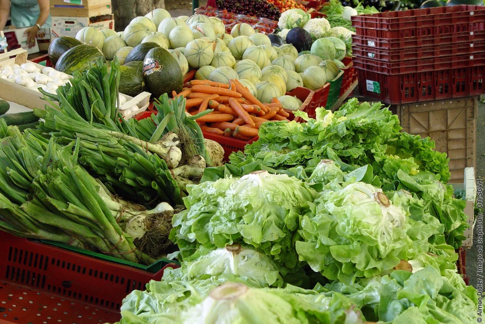 Image 1 : MARCHÉ DE MONTPEYROUX background