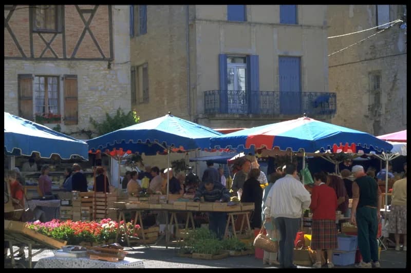 Image 1 : Marché à Catus background
