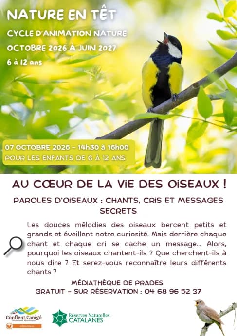 Image 1 : NATURE EN TÊT: AU COEUR DE LA VIE DES OISEAUX! background