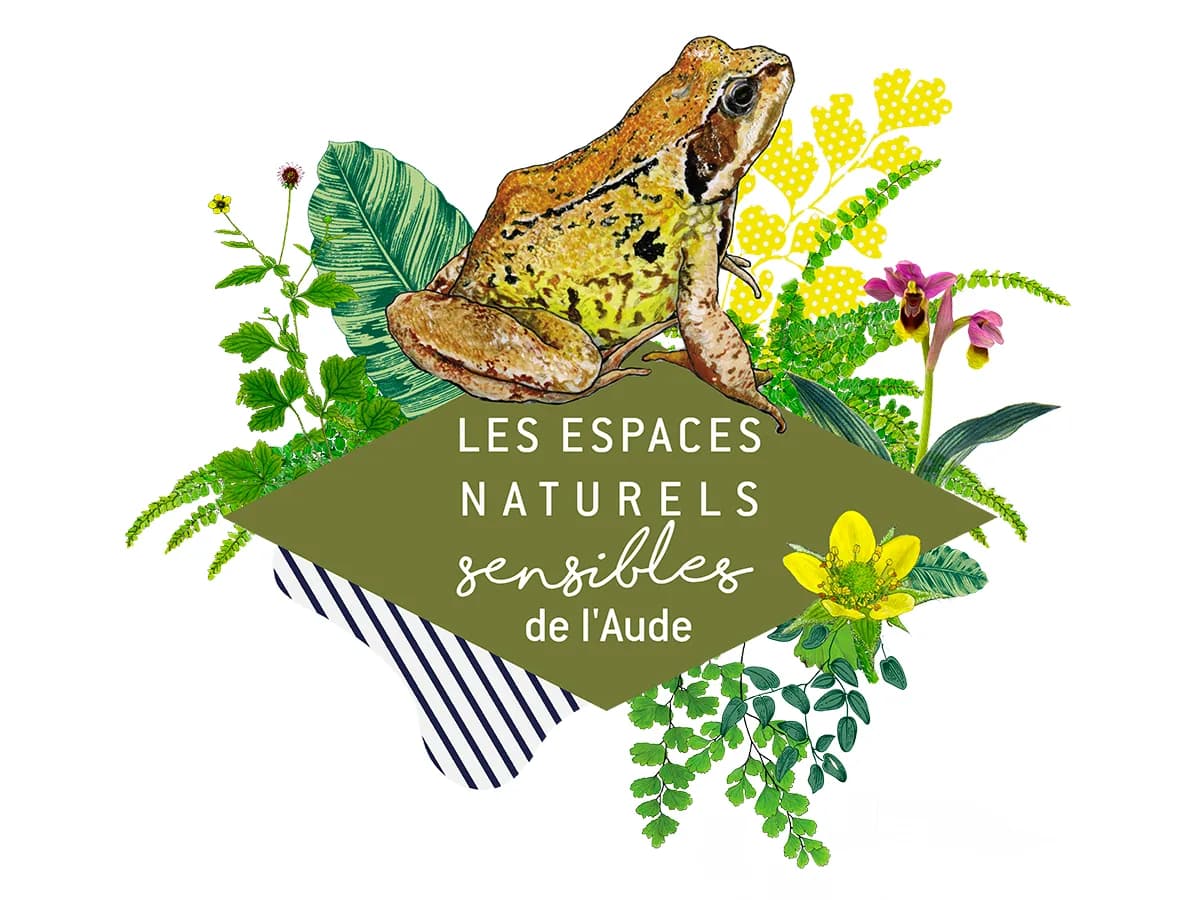 Image 1 : ENS - AUTOUR DE LA LAGUNE : PLANTES ET PAYSAGES background