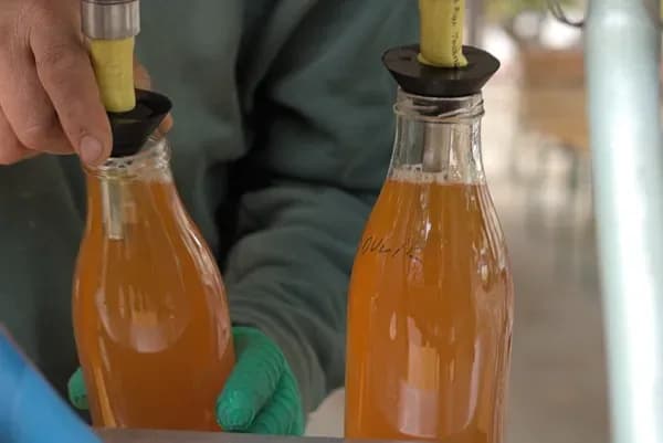 Image 1 : Journée Pressage Jus de Pommes et Poires background