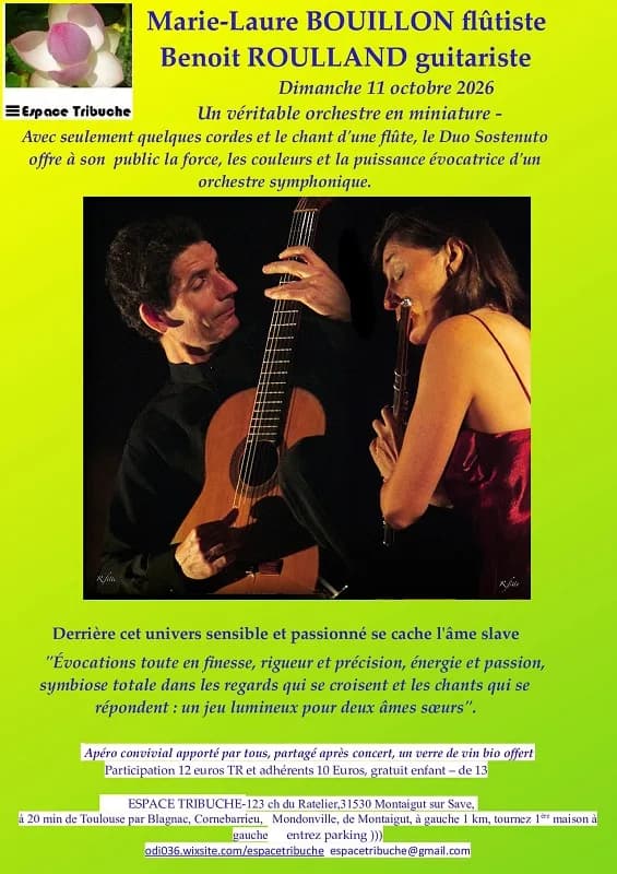 Image 1 : CONCERT DU "DUO SOSTENUTO" background