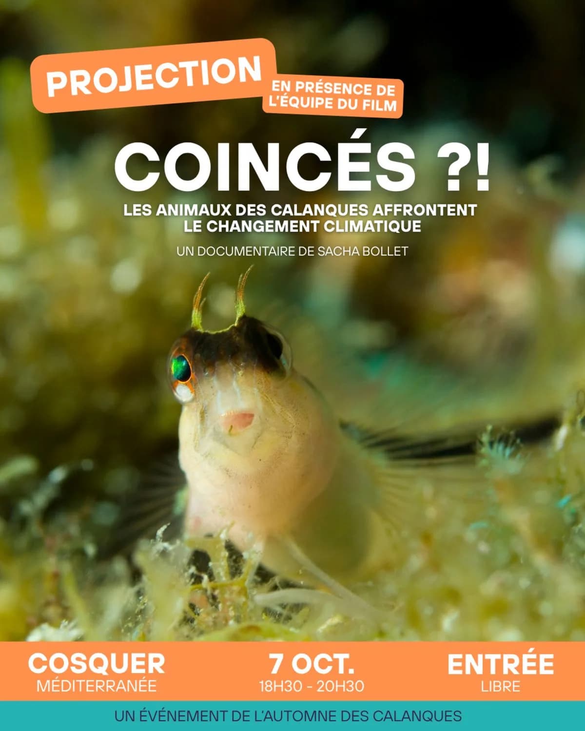 Image 3 : "Coincés ? Coup de chaud dans les calanques" background