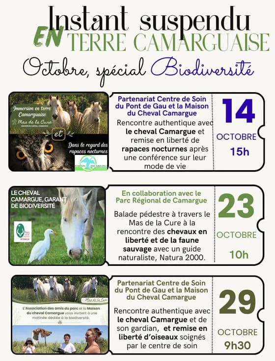 Image 2 : Visite guidée à la rencontre des juments, conférence et lâcher d'oiseaux background