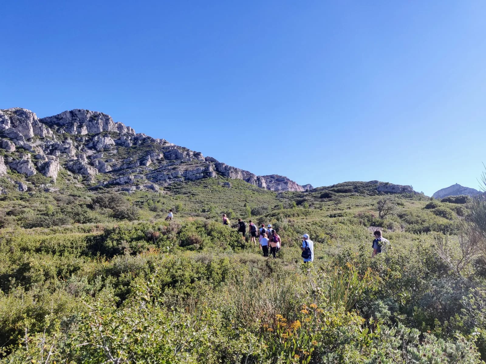 Image 1 : Sortie nature : Paysage des Alpilles, qui es-tu ? background
