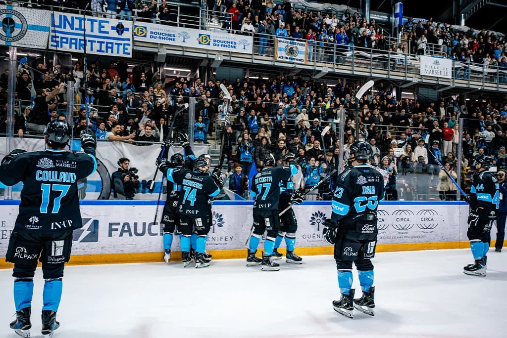 Image 1 : Matchs de hockey background