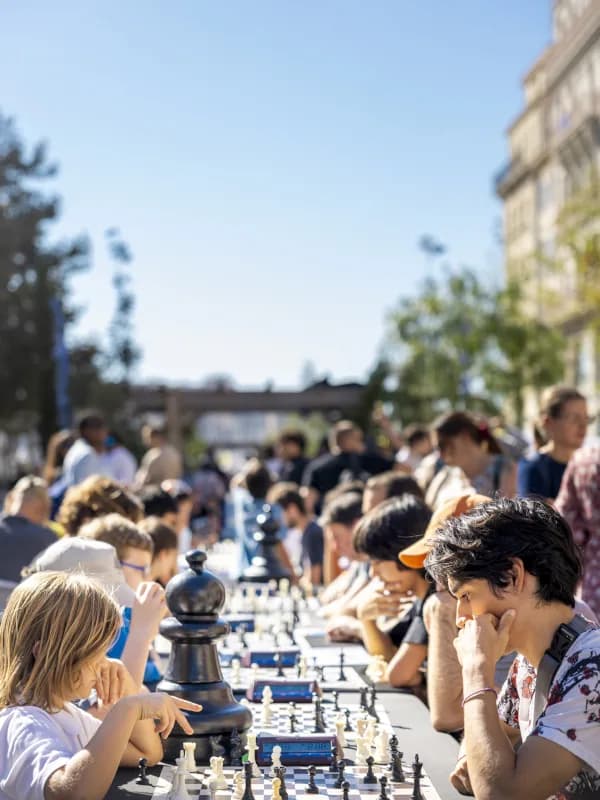 Image 1 : Échecs en fête background