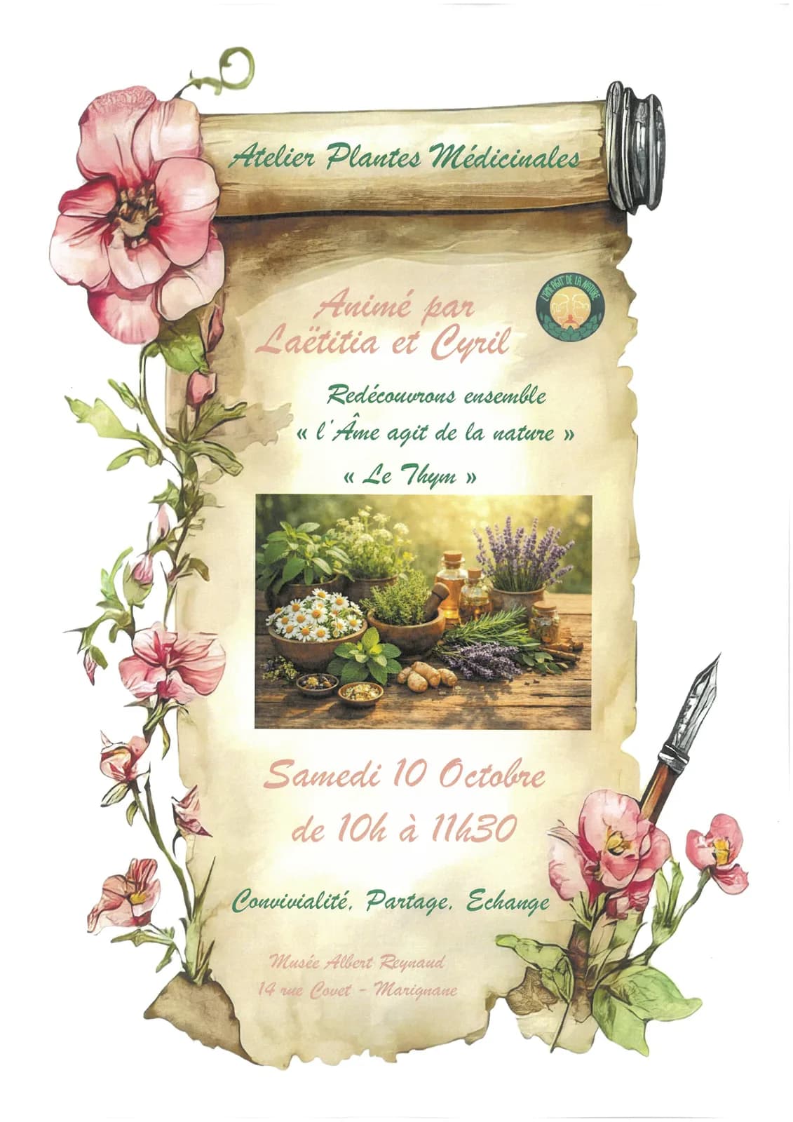 Image 1 : Les secrets de la nature et les plantes médicinales : Le thym background