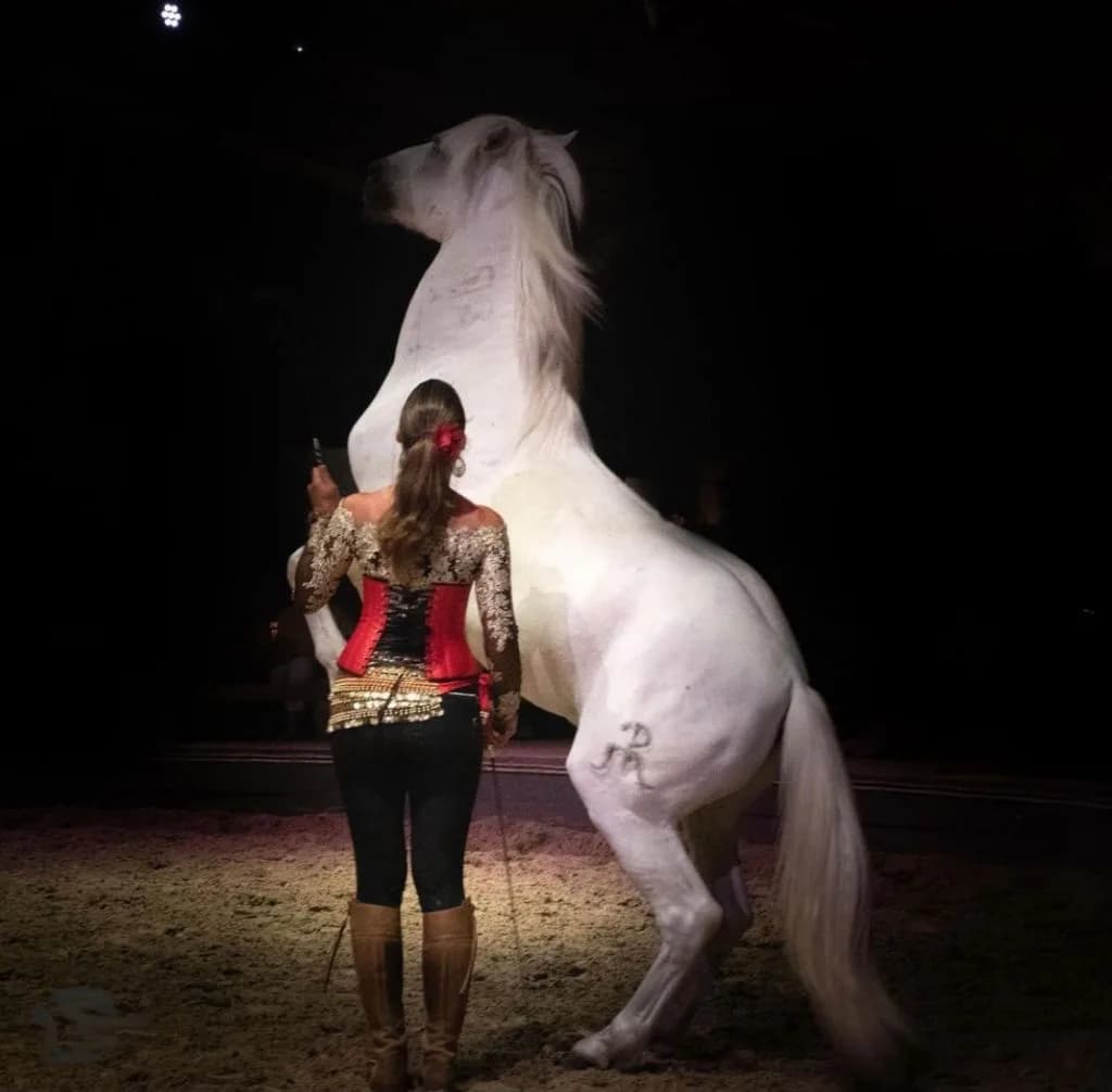 Image 1 : Spectacle "Anatilya, le silence sacré du Vaccarès" au Théâtre Equestre Camarkas background