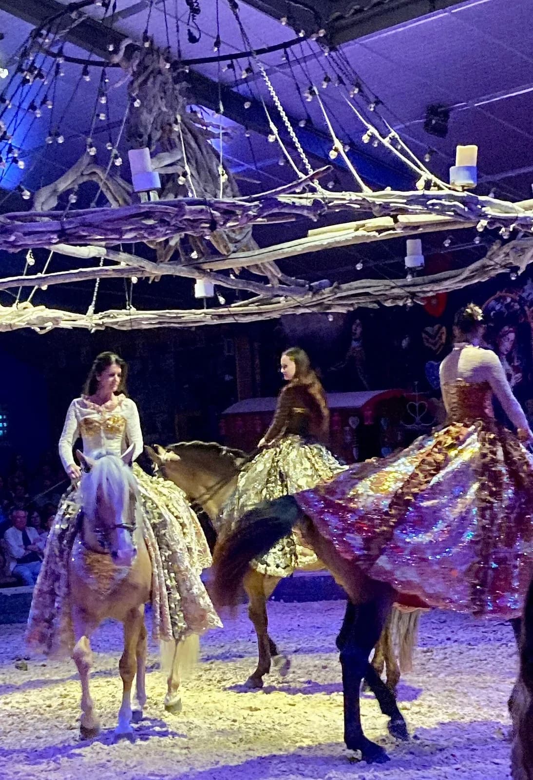 Image 2 : Spectacle "Anatilya, le silence sacré du Vaccarès" au Théâtre Equestre Camarkas background