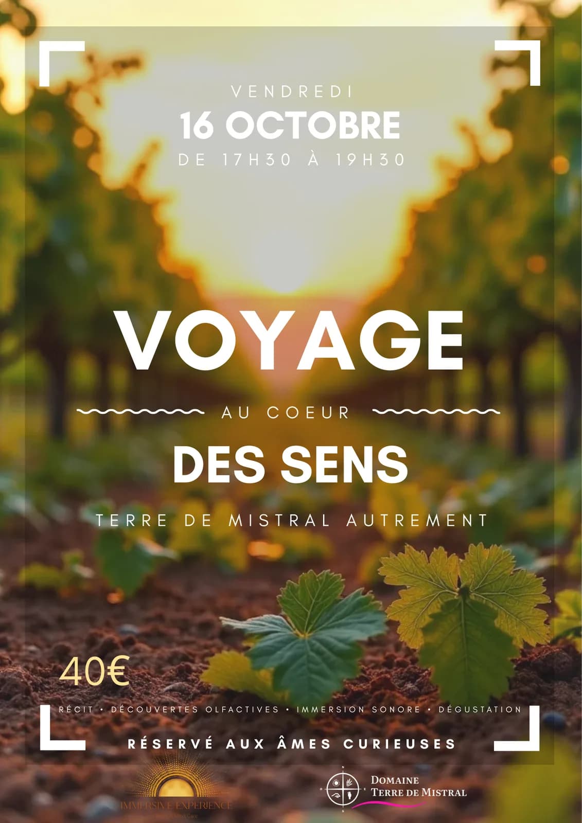 Image 1 : Voyage au coeur des sens : Terre de Mistral autrement background