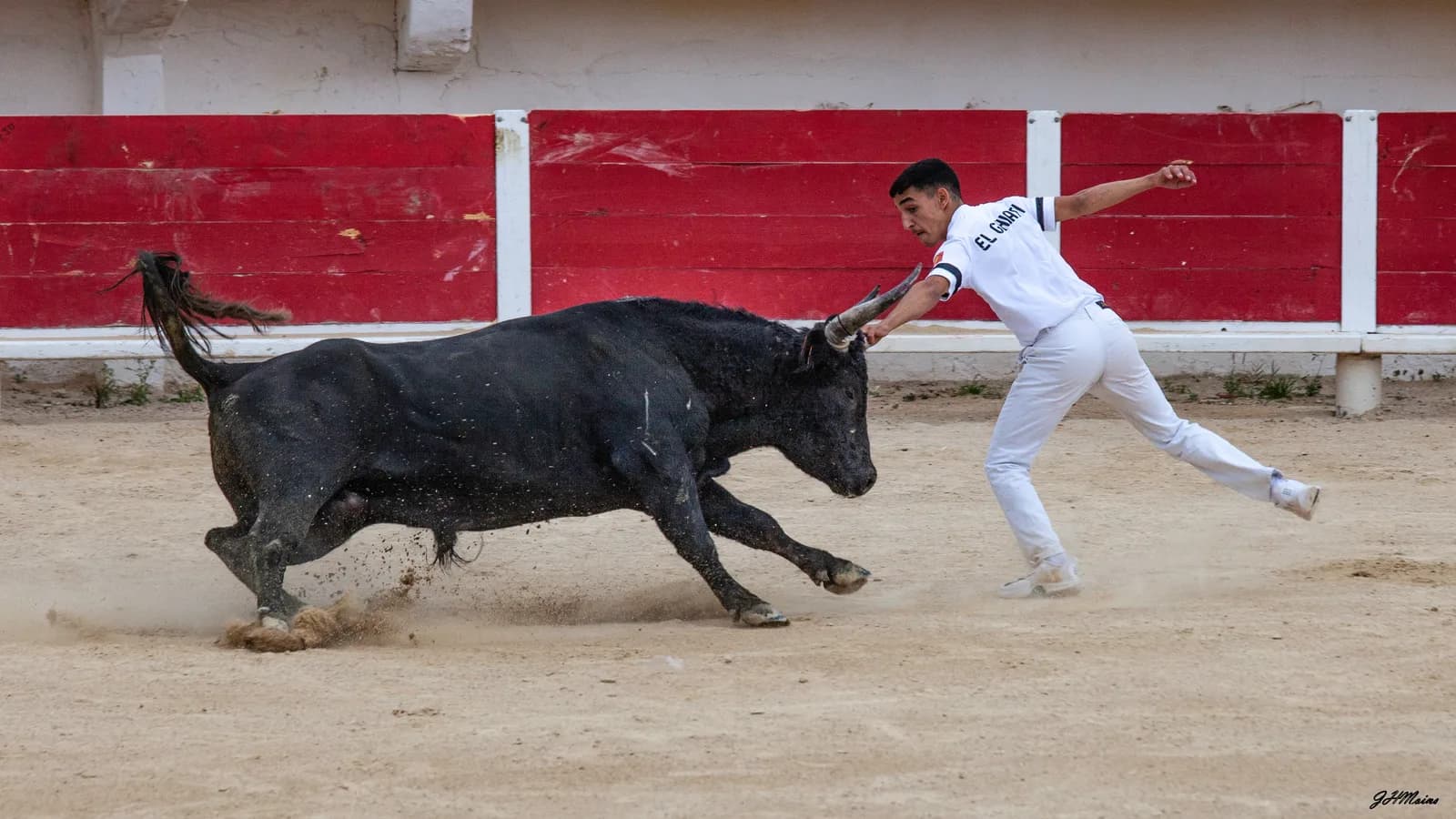 Image 1 : Courses camarguaises organisées par le Club Taurin Lou Santen background