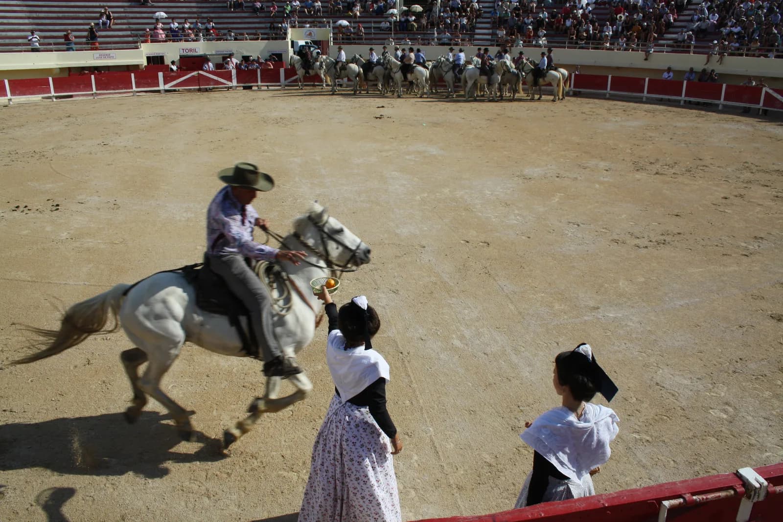Image 1 : La Camargue aux Arènes background