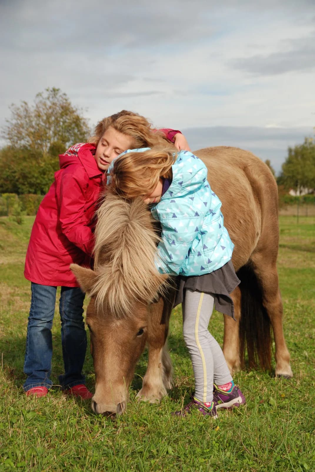 Image 1 : Vacances de la Toussaint - Stages enfants Touraine Cheval background