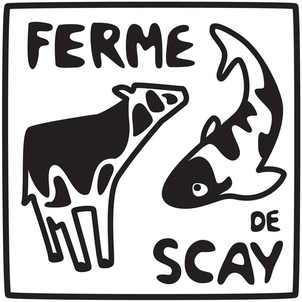 Image 1 : Vente de viande bovine et viande de veau de lait background