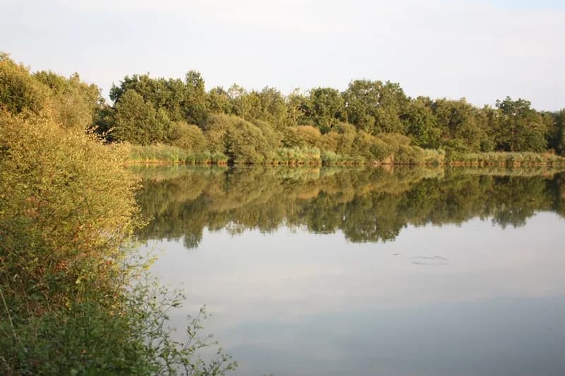 Image 1 : Grande balade autour de l'étang Massé background