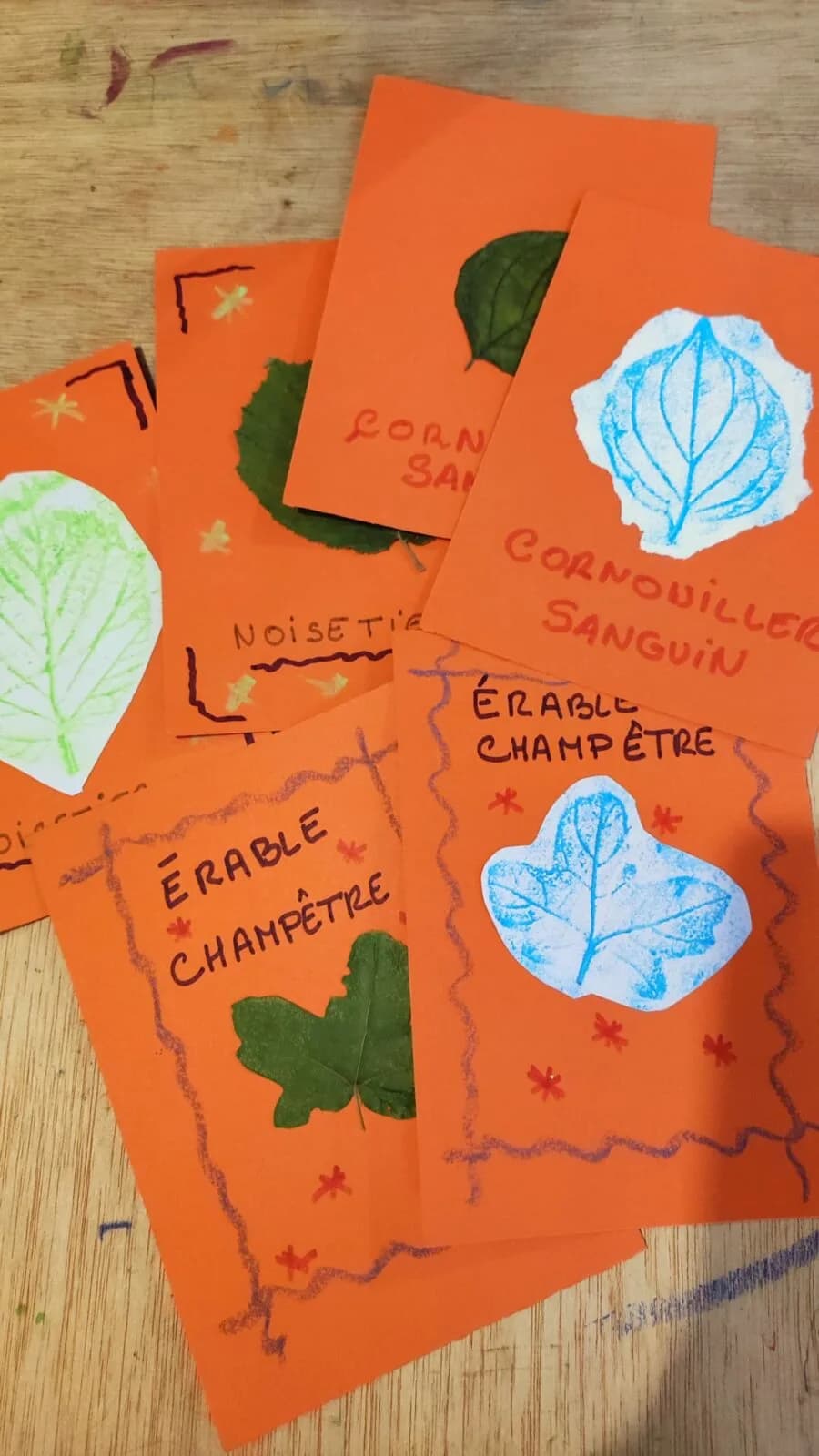 Image 1 : Memory d'arbre background