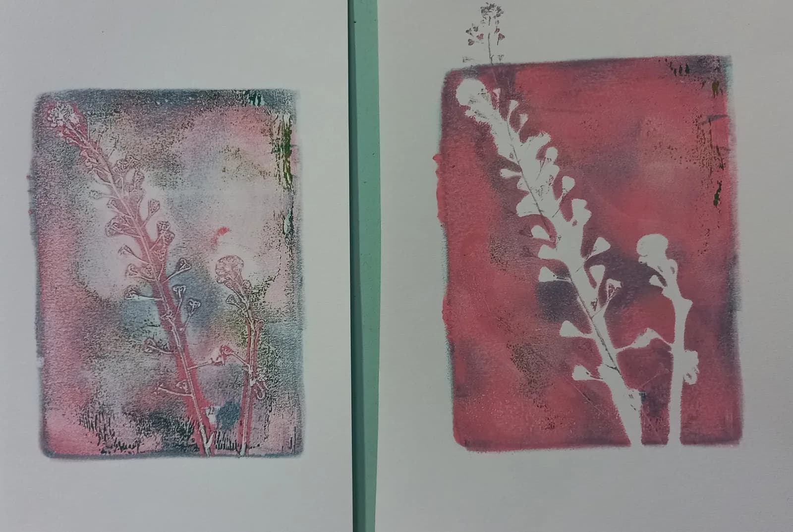 Image 1 : Atelier Gelly Print (impression végétale) - Atelier pour les 7/12 ans background