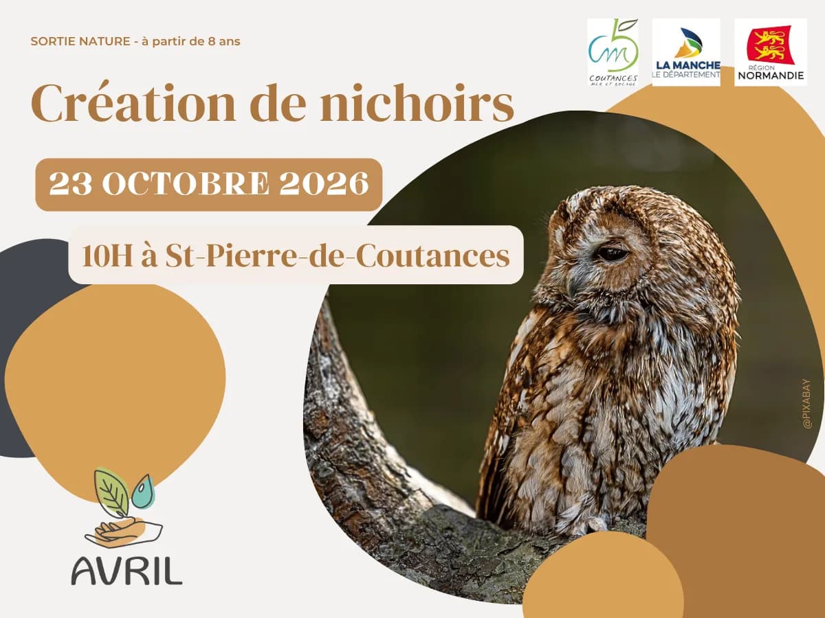 Image 1 : Création de nichoirs background