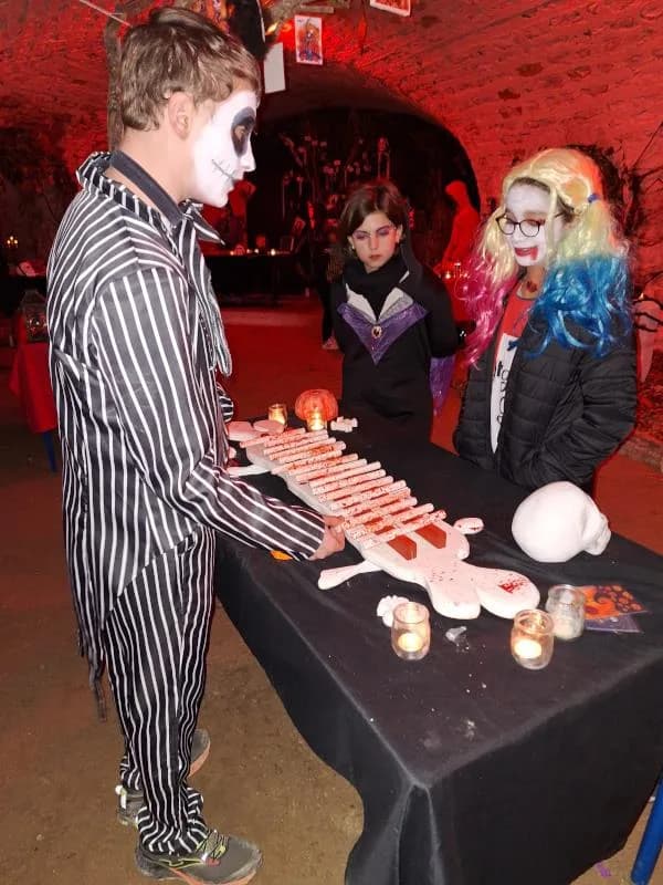 Image 2 : Halloween au Fort aux Énigmes background