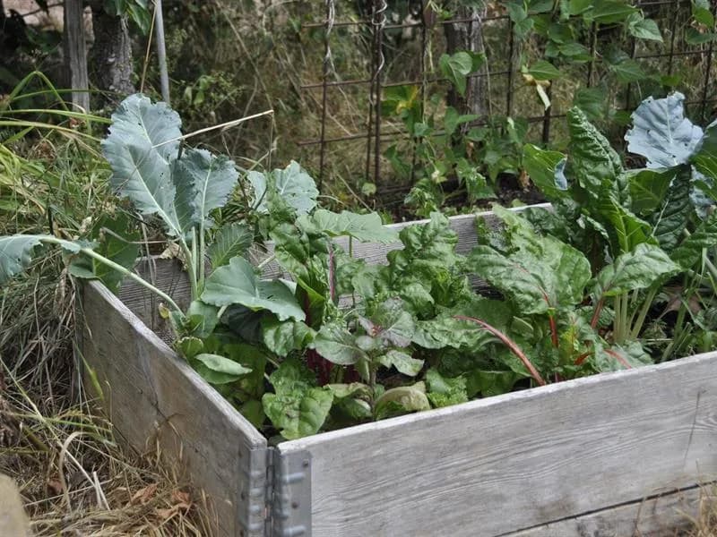 Image 2 : Les espaces du jardin background