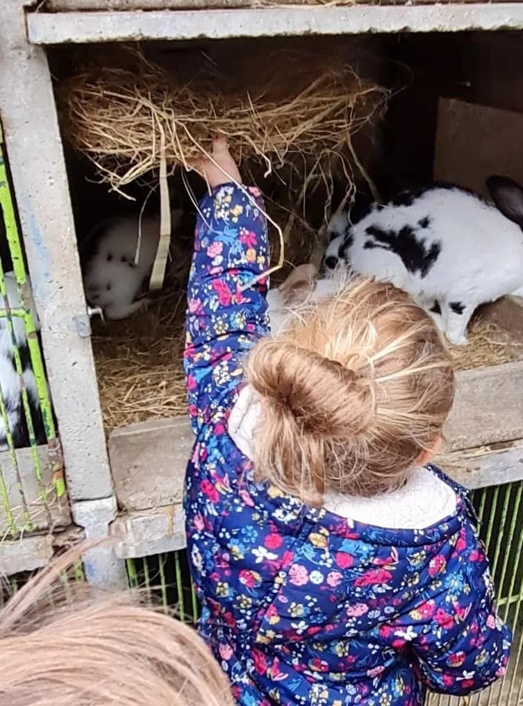 Image 2 : Une journée à la ferme background
