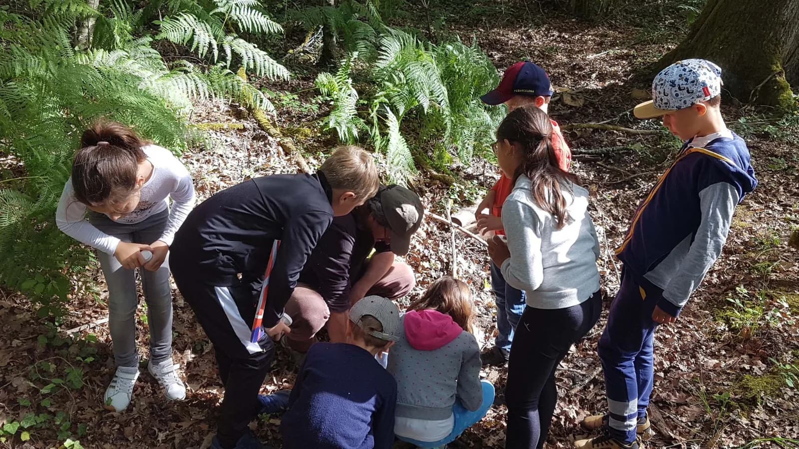 Image 1 : Les ateliers de la forêt background