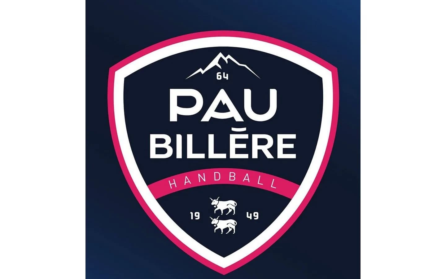 Image 3 : Handball Proligue - Pau Billère Handball 64 Vs Cherbourg background