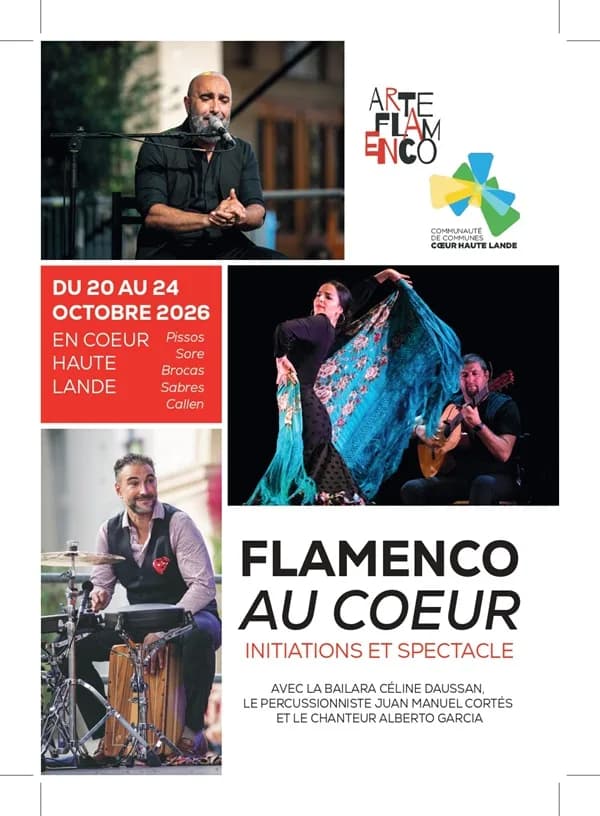 Image 1 : ARTE FLAMENCO AU COEUR background