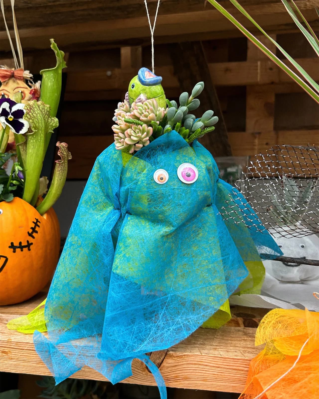 Image 1 : Ateliers enfants spécial Halloween chez Mendi - Kokedama background