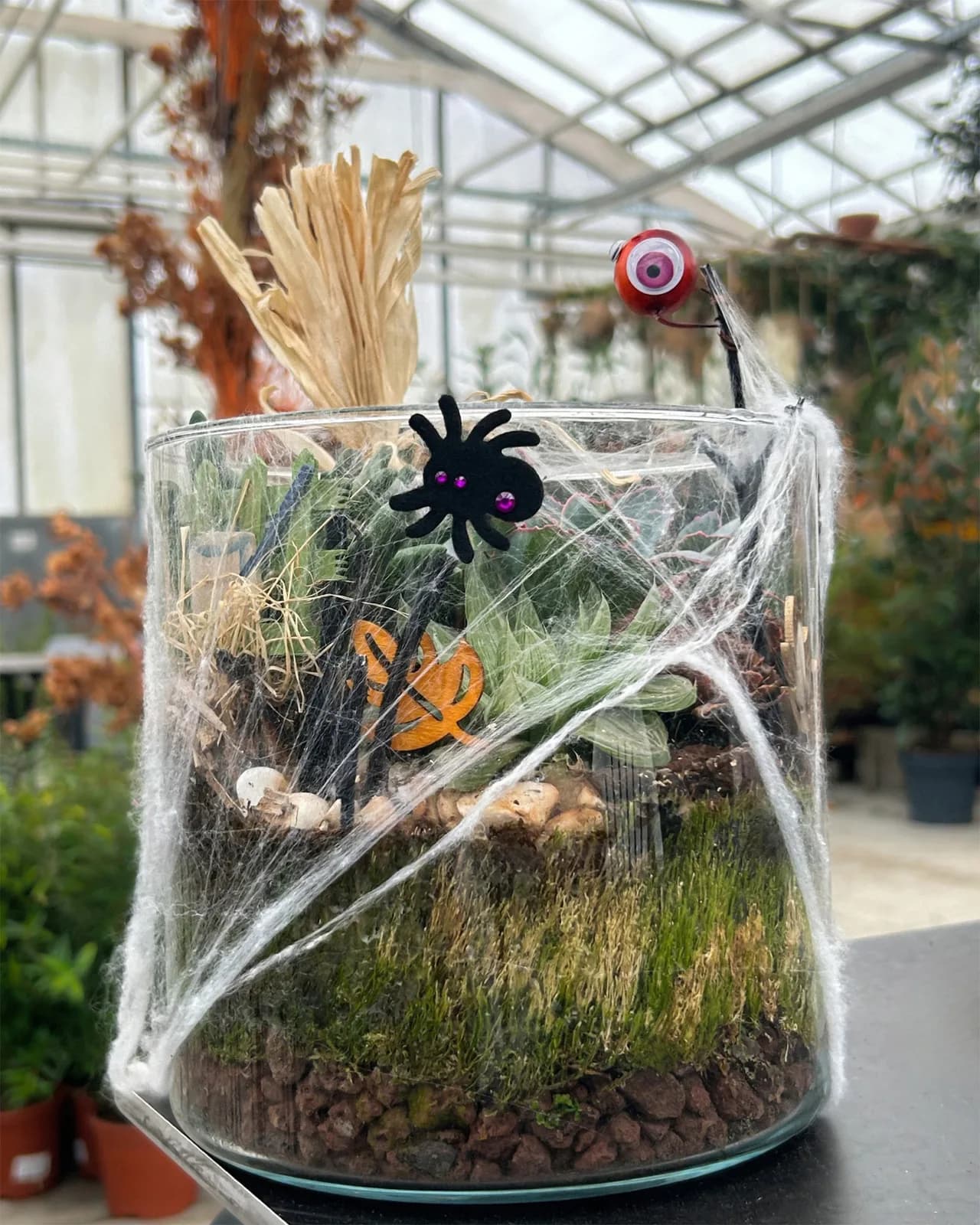 Image 1 : Ateliers enfants spécial Halloween chez Mendi - Terrarium background