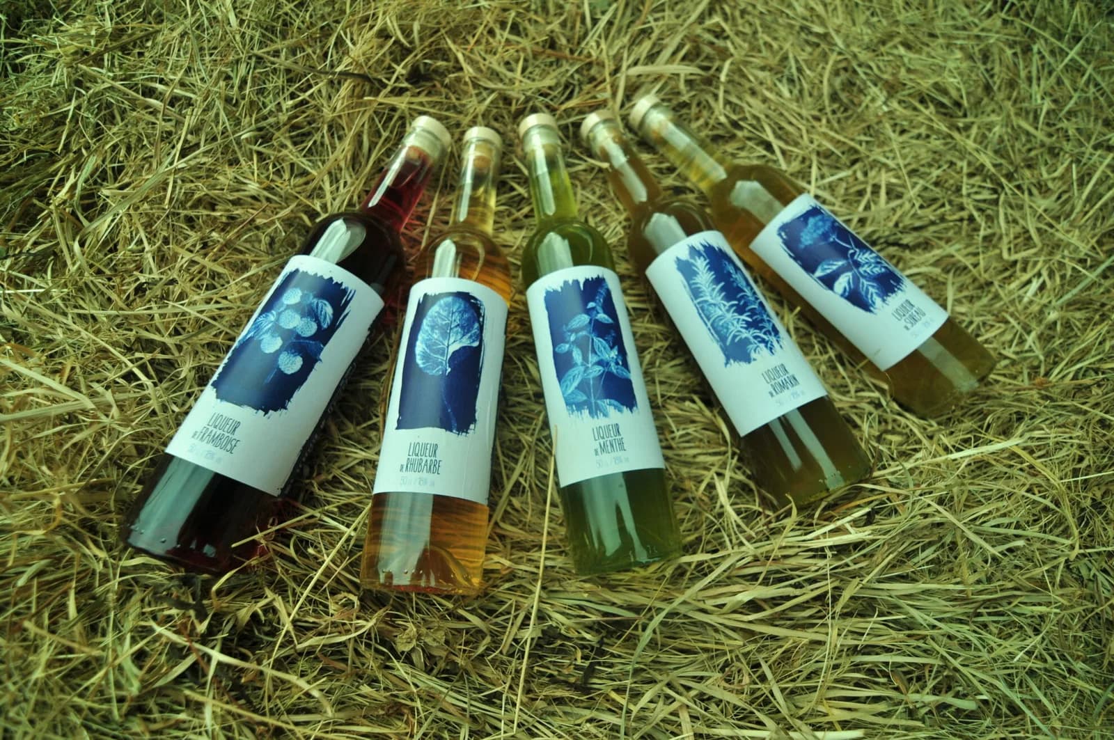 Image 2 : Ici, nos savoir-faire - Visite Distillerie et miellerie Dandelion background