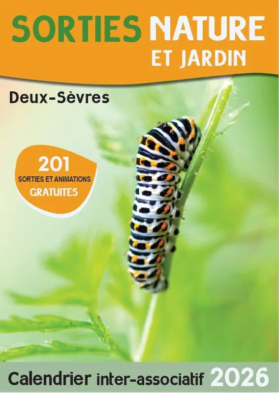 Image 1 : SORTIE NATURE : NUIT DES DRAGONS background