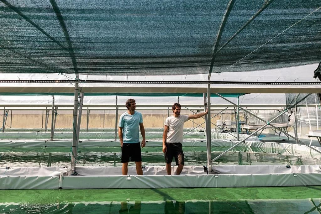 Image 1 : Ici, nos savoir-faire - Visite Spir'up - Spiruline des Pyrénées background