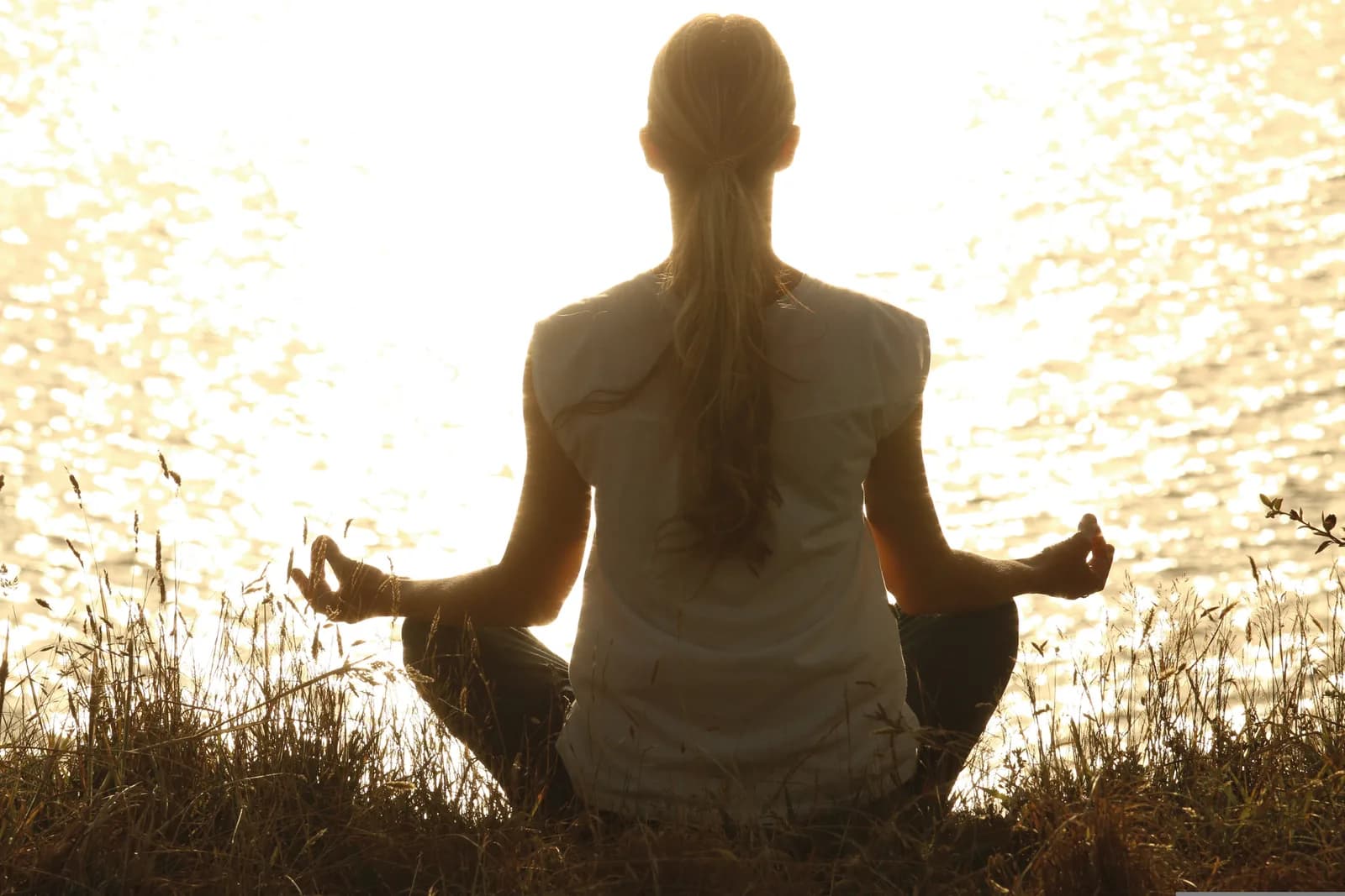 Image 1 : LES SORTIES NATURE : BALADE YOGA background