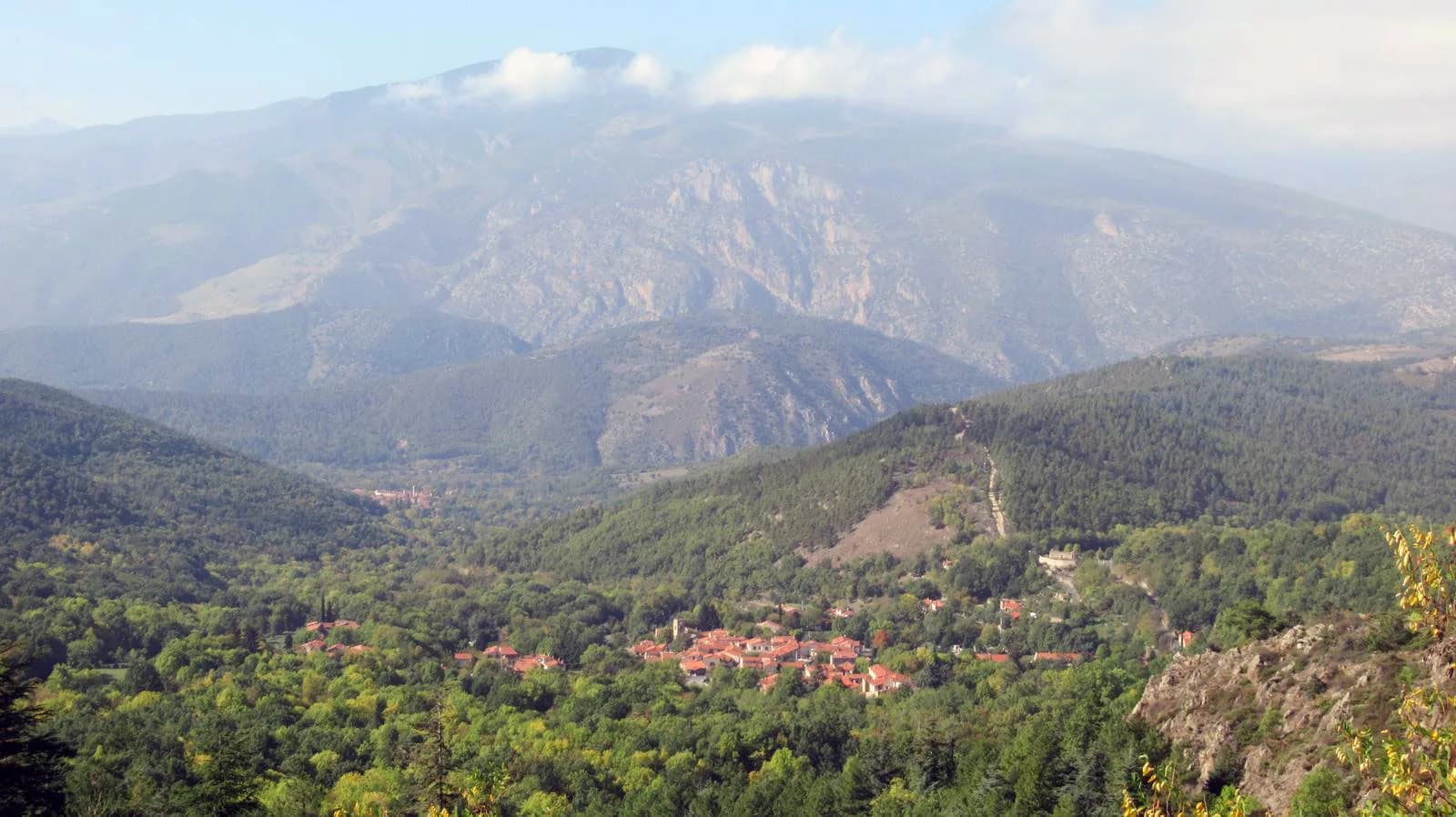 Image 1 : RANDO ACCOMPAGNEE : BOUCLE FORESTIERE VERS LE BALCON DU COGULLO background
