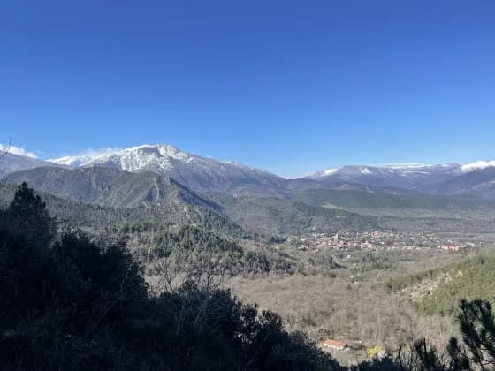 Image 2 : RANDO ACCOMPAGNEE : BOUCLE FORESTIERE VERS LE BALCON DU COGULLO background