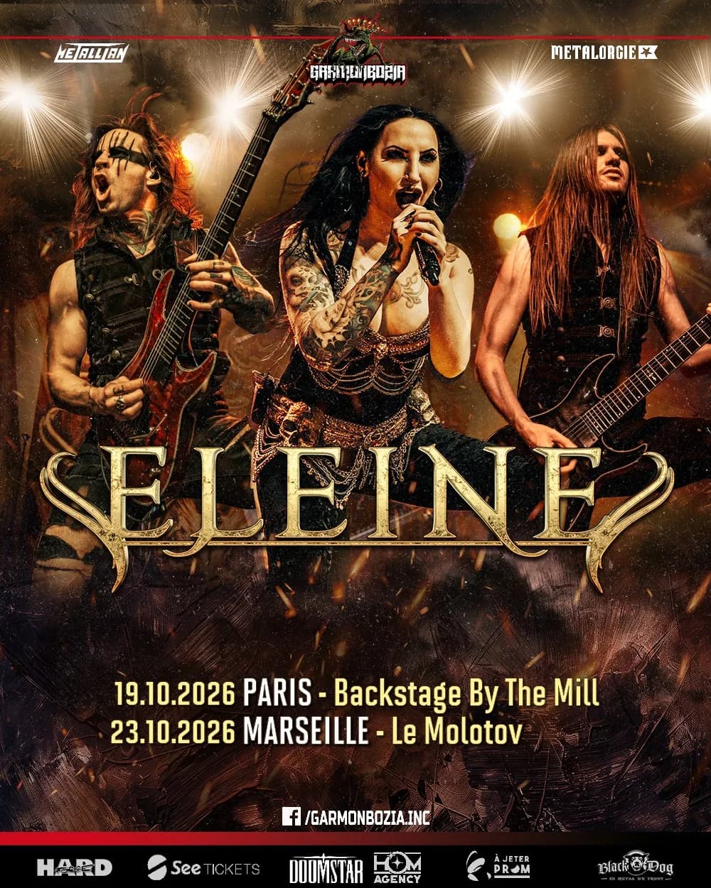 Image 1 : Eleine en concert background