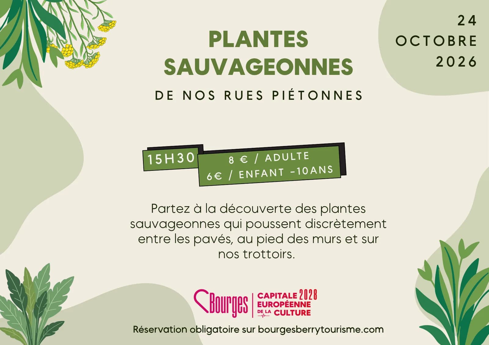 Image 1 : Animation : Les Plantes Sauvageonnes De Nos Rues Piétonnes background