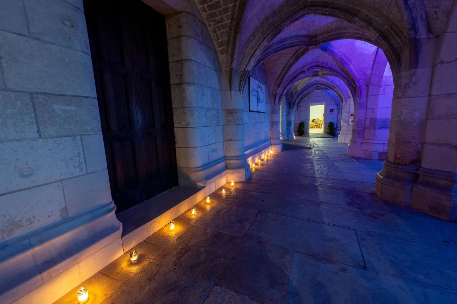Image 2 : Balades nocturnes aux chandelles au château royal d'Amboise background