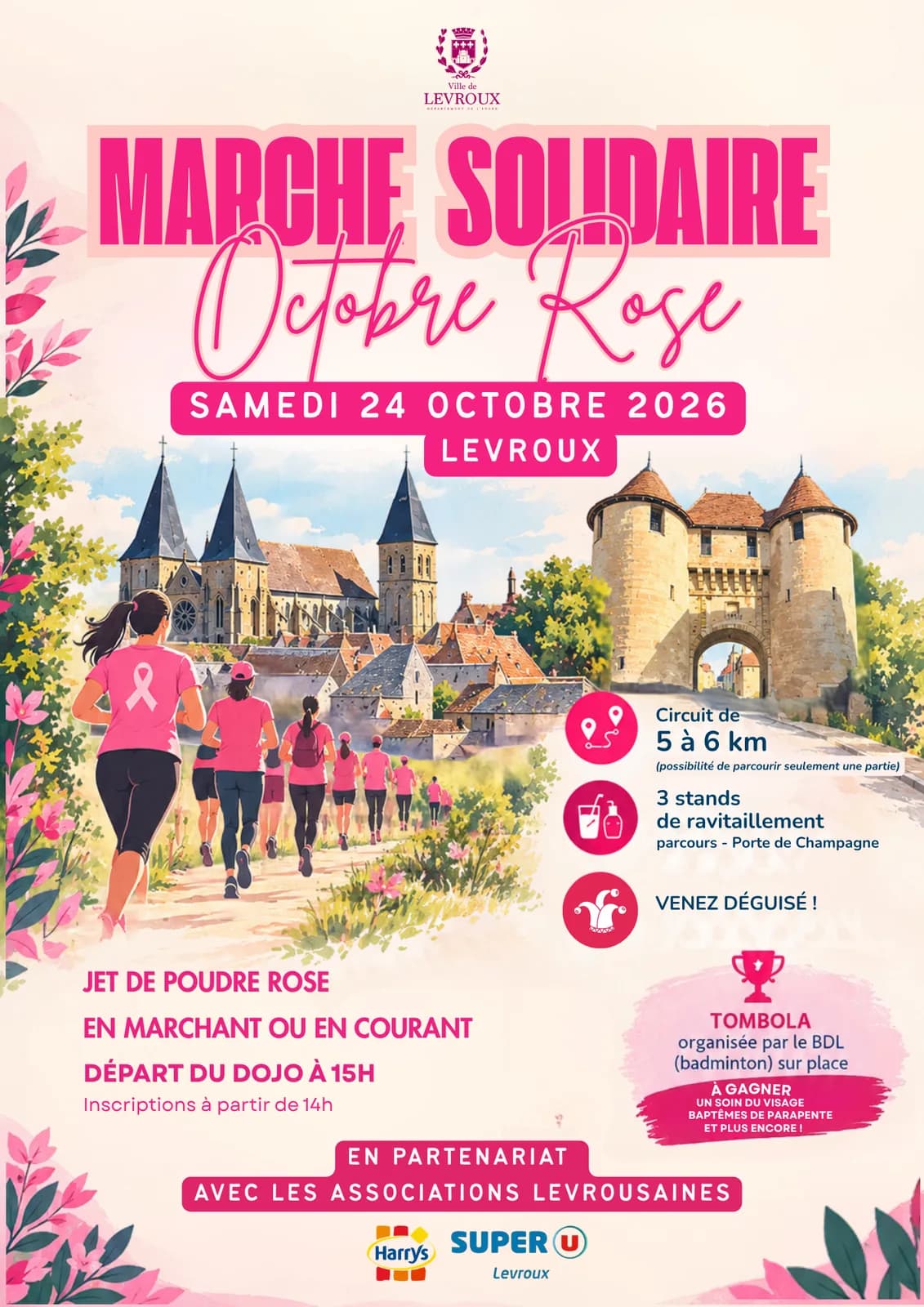 Image 1 : Marche solidaire Octobre Rose à Levroux background