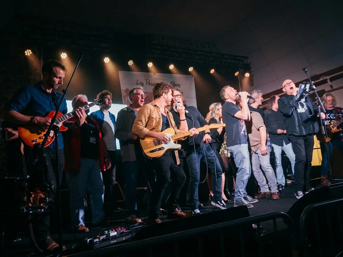 Image 1 : Concert-conférence « Du Blues texan au rock sudiste » par The Blues Collectiv’ background