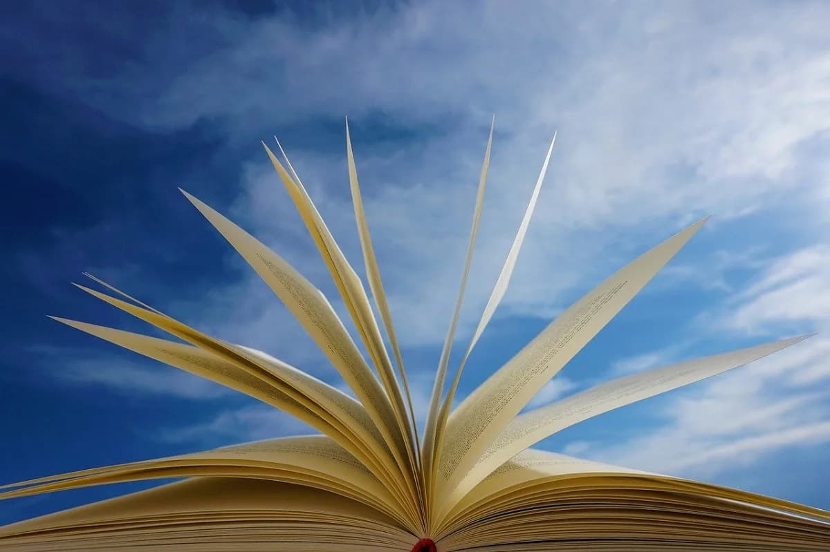 Image 1 : Blablabook junior background