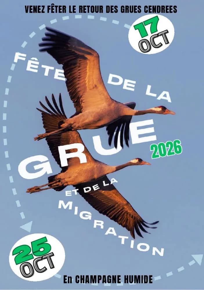 Image 2 : Fête de la grue : Atelier nichoir background