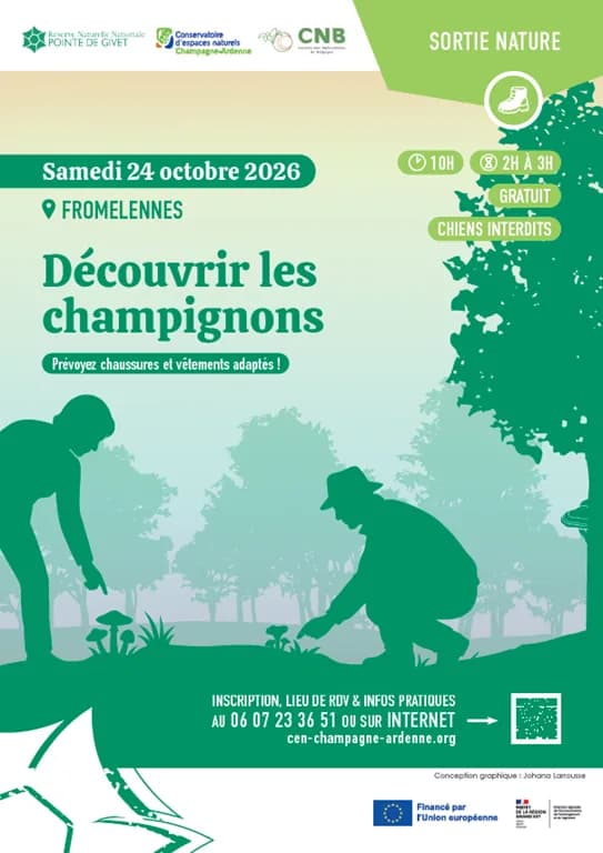 Image 2 : Sortie Champignons background