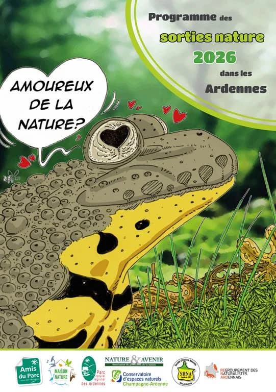 Image 1 : Sortie Pour toute la famille : le défi du Cabinet des curiosités background