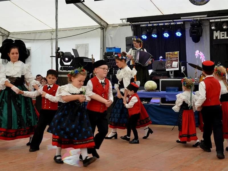Image 1 : Fête de la choucroute de Holtzwihr background