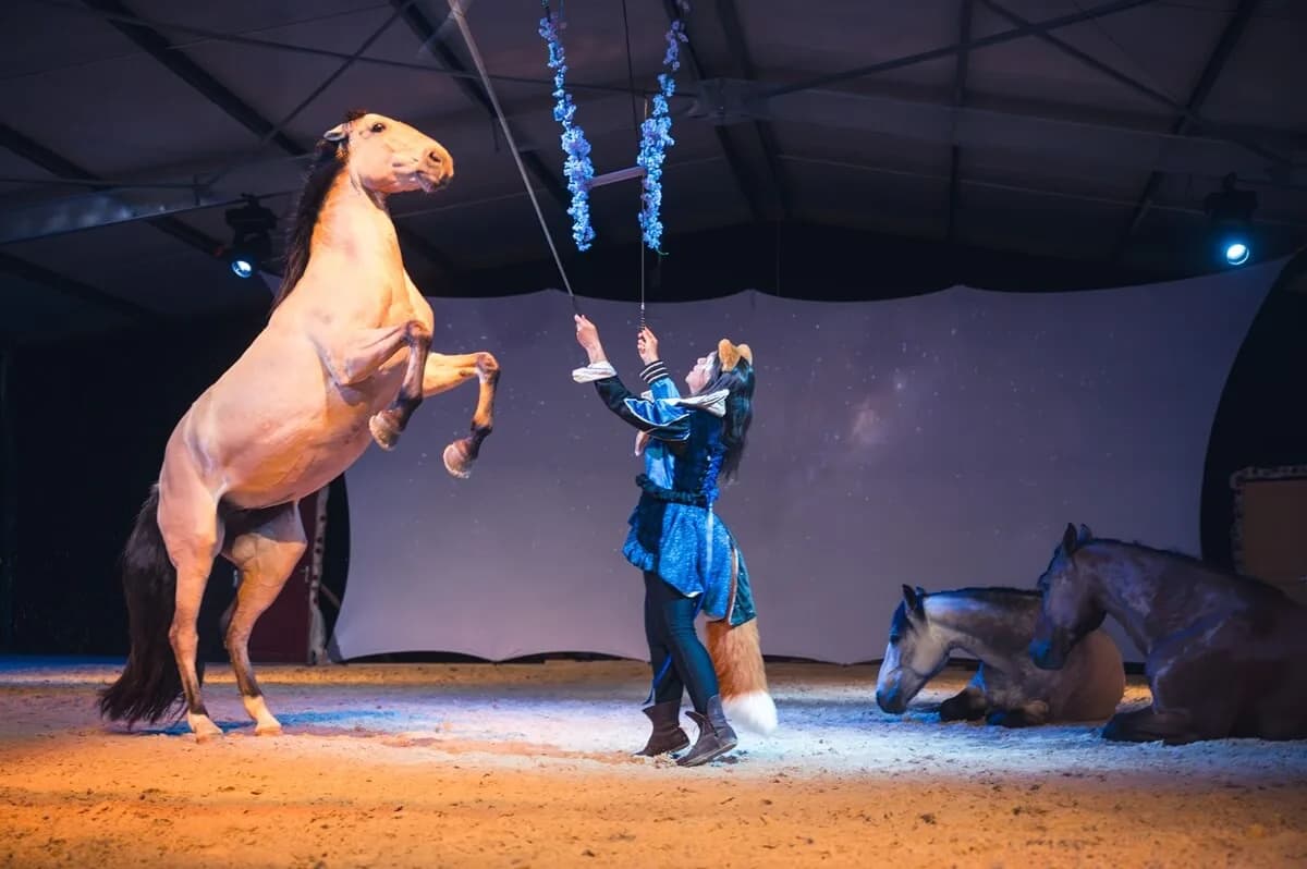 Image 3 : Spectacle équestre "Namari" background
