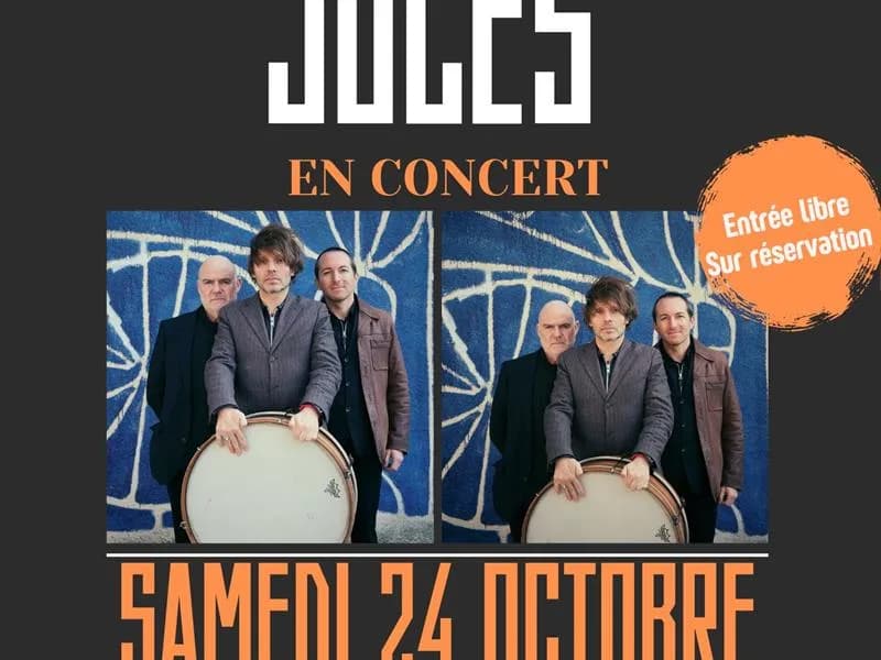 Image 1 : Nicolas Jules en concert background