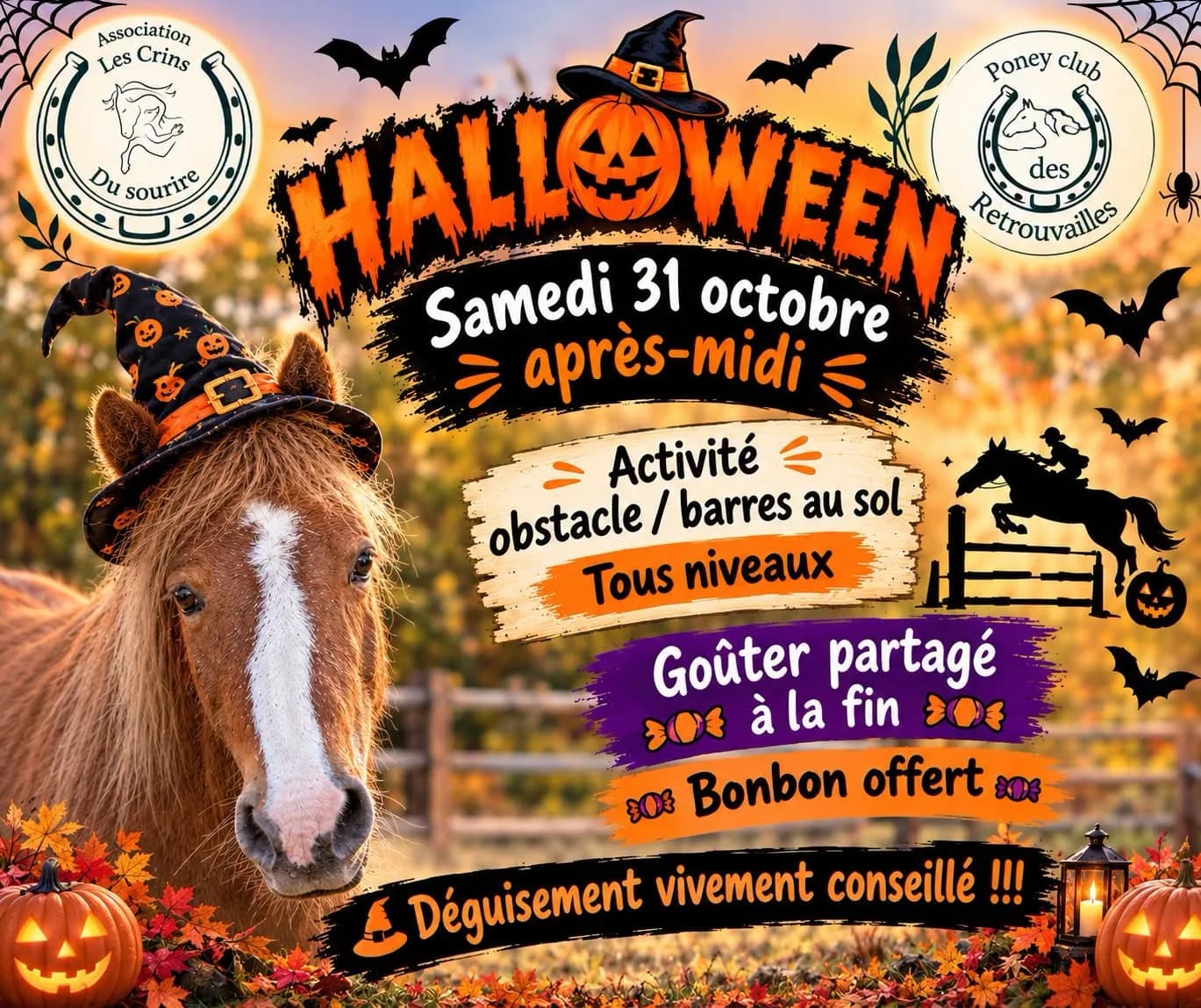 Image 2 : Vacances d'Halloween au Poney Club des retrouvailles background